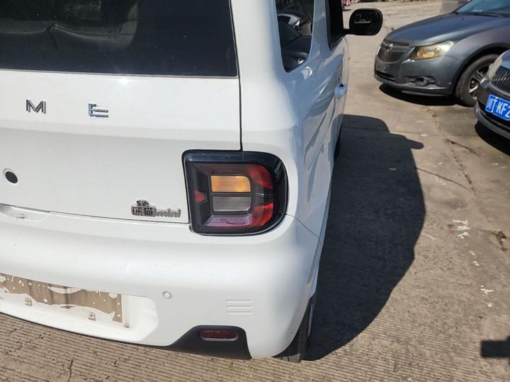 2023 Panda mini 200km Endurance Bear photo 7