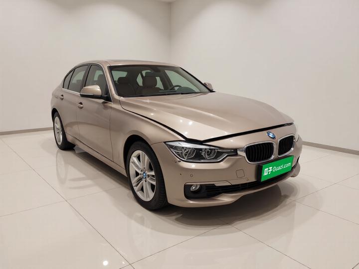 3 Series 2017 320Li Fashion photo 3