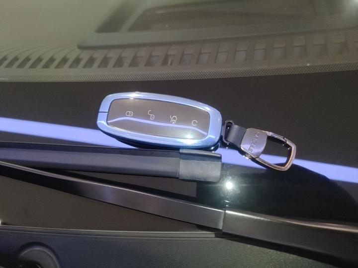 D9 2024 DM-i 980 AWD Noble photo 8