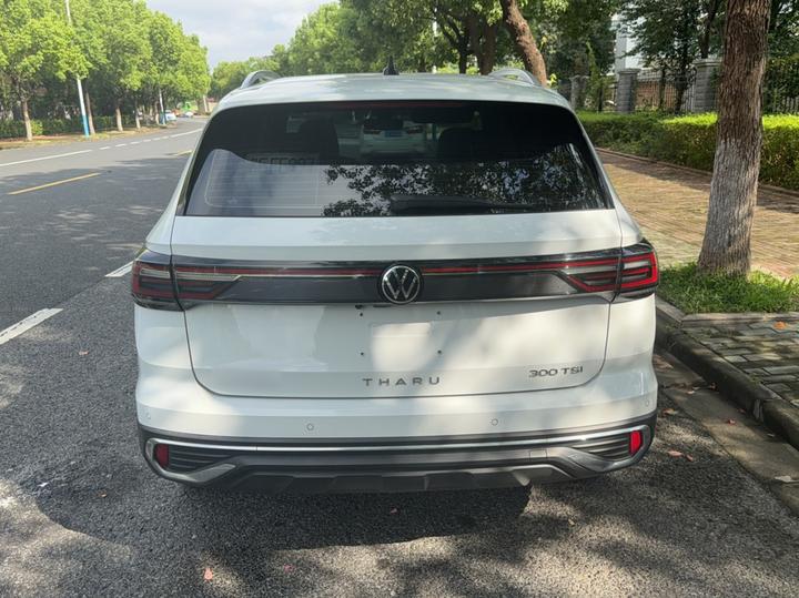 Tharu 2023 300TSI RWD photo 3