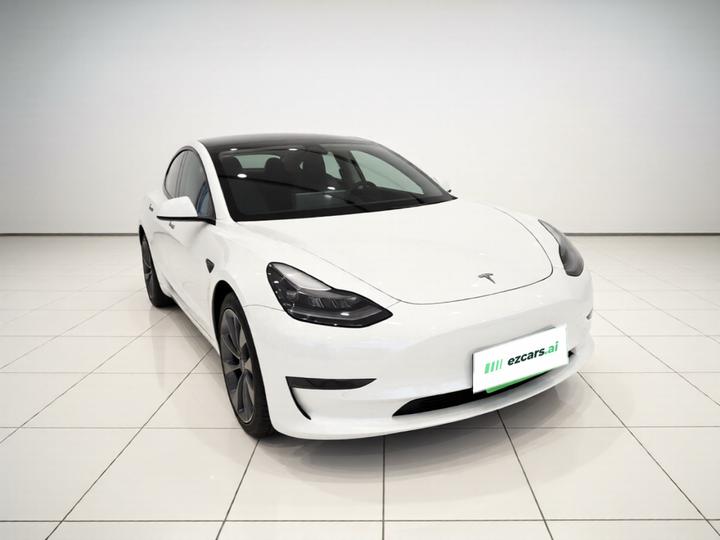 Model 3 2021 Performance AWD photo 3