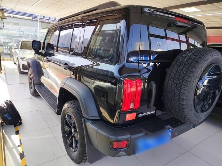 300 2021 Off-road 2.0T Conqueror photo 4