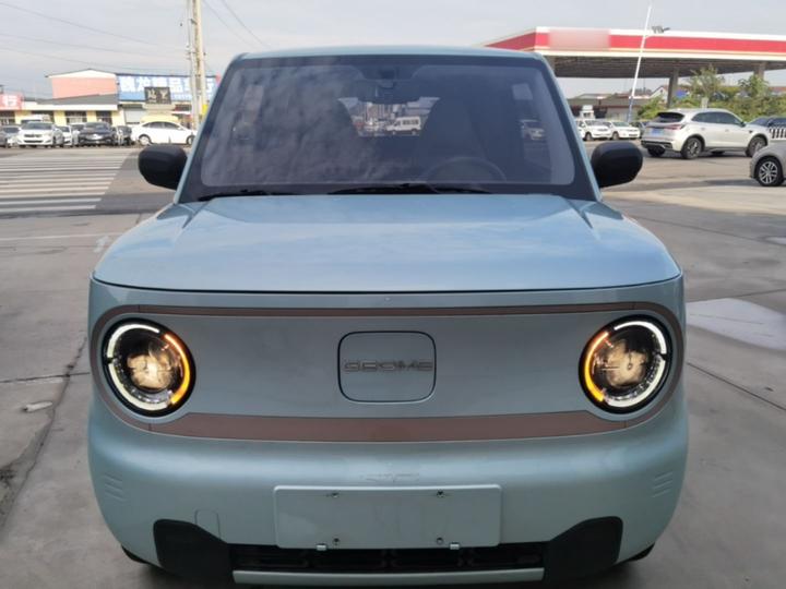 2024 Panda mini 200km Endurance Bear photo 2