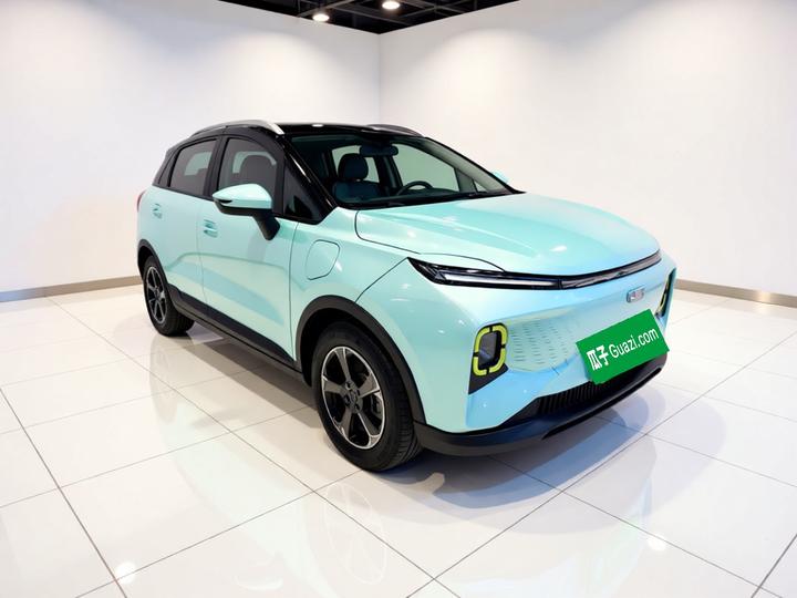 E Firefly 2022 401KM 4-Seater photo 3