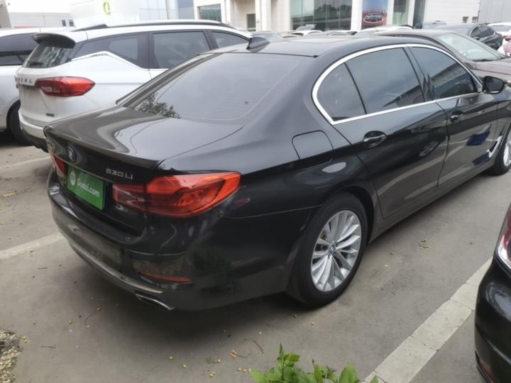 5 Series 2020 530Li Leading Luxury photo 4