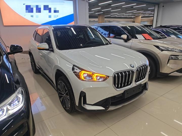 X1 2023 xDrive25Li X Design Package photo 3