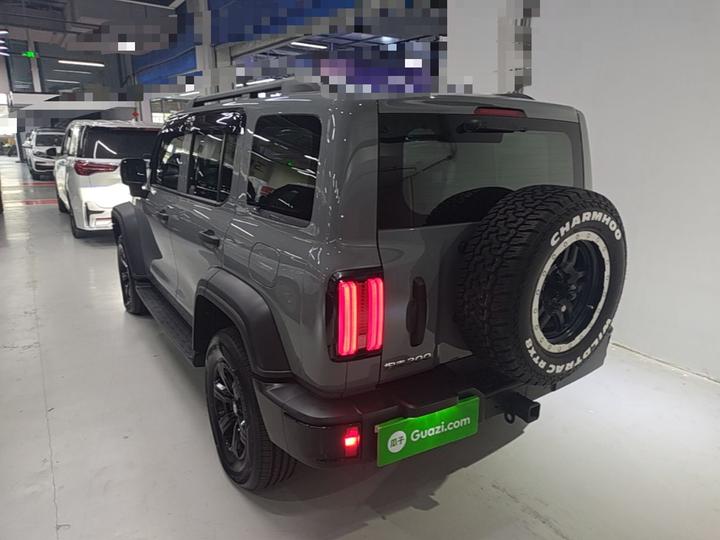 300 2023 Off-road 2.0T Conqueror photo 4