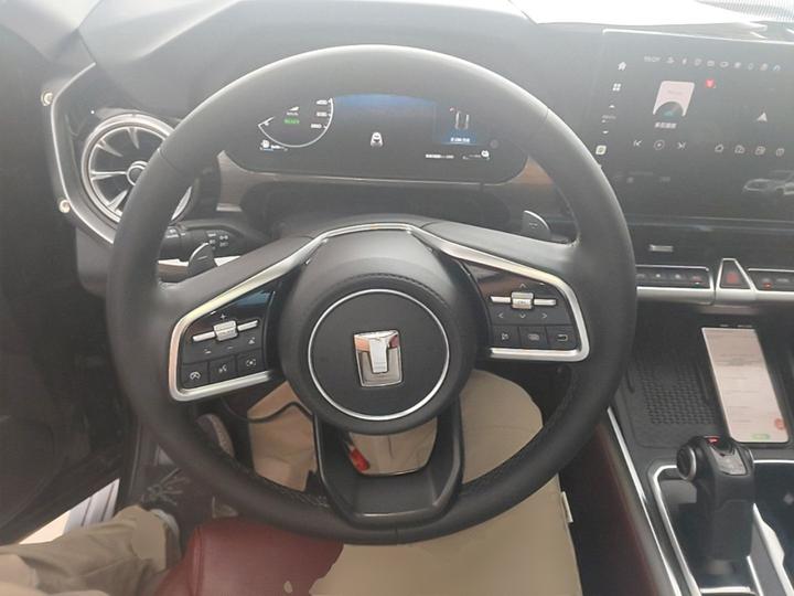 400 EV 2024 Hi4-T Off-road photo 3