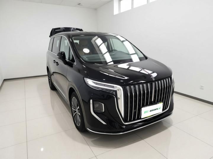 HQ9 PHEV 2024 2.0T AWD Business photo 3