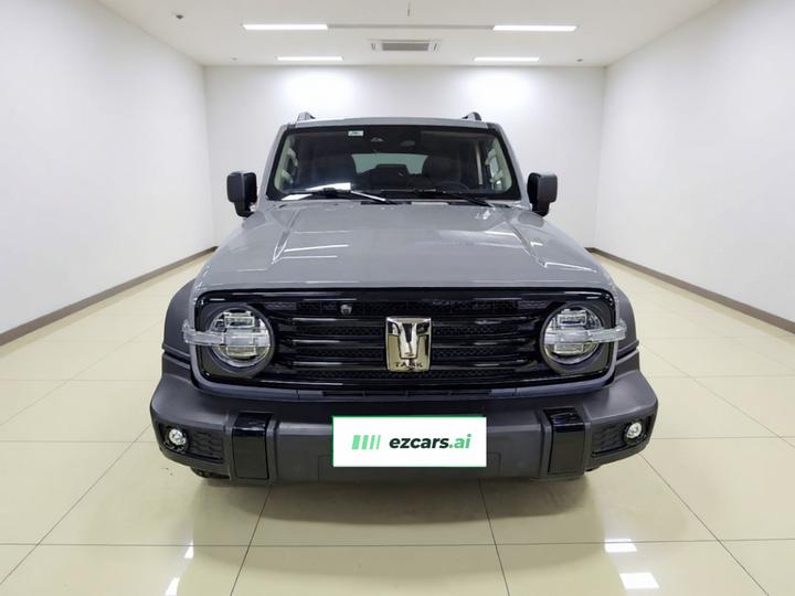 300 2023 Off-road 2.0T Conqueror photo 2