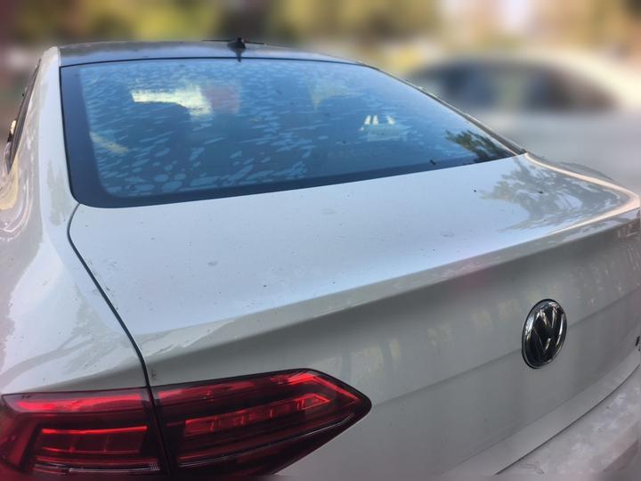 Lamando 2019 280TSI DSG Comfort China VI photo 3