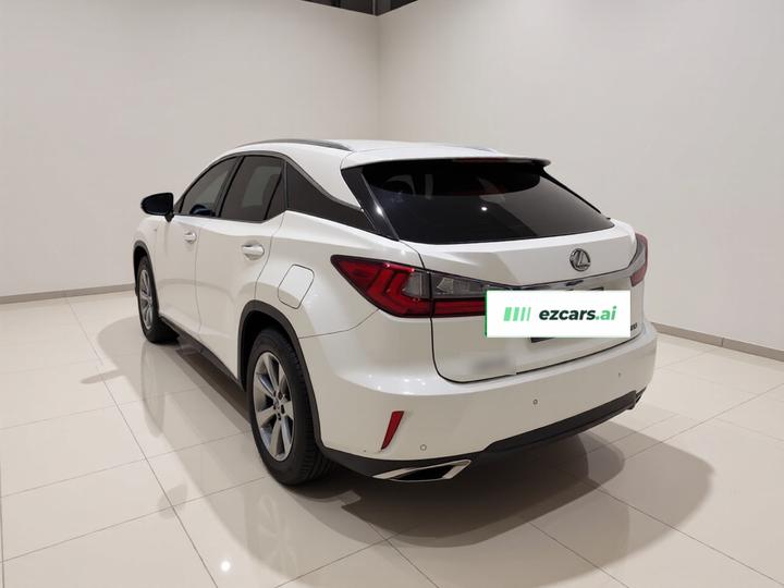 RX 2016 300 RWD Elite China V photo 4