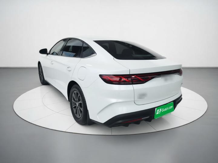 Qin L 2024 DM-i 80KM Leading photo 4