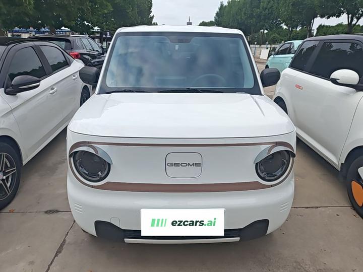 2024 Panda mini 200km Endurance Bear photo 2