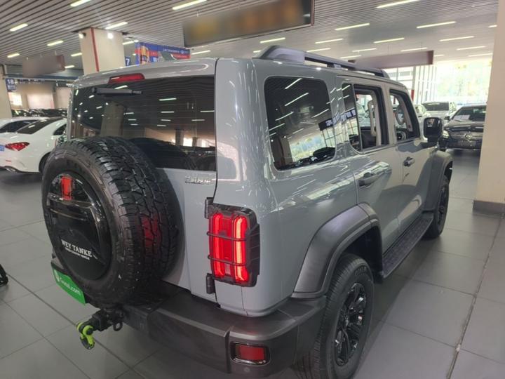 300 2023 Off-road 2.0T Conqueror photo 6