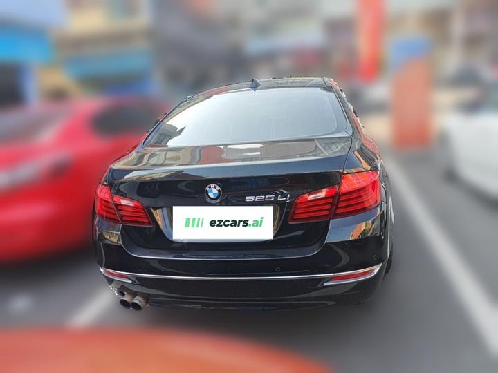5 Series 2014 525Li Luxury Design Package photo 5