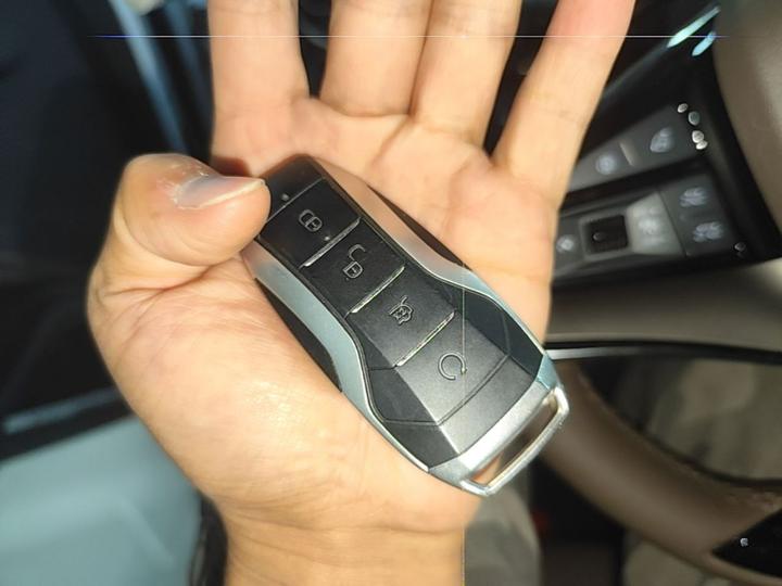 Han 2021 EV Standard Range Luxury photo 8