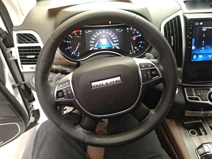 H9 2017 2.0T Diesel AWD Luxury 7-Seater photo 6