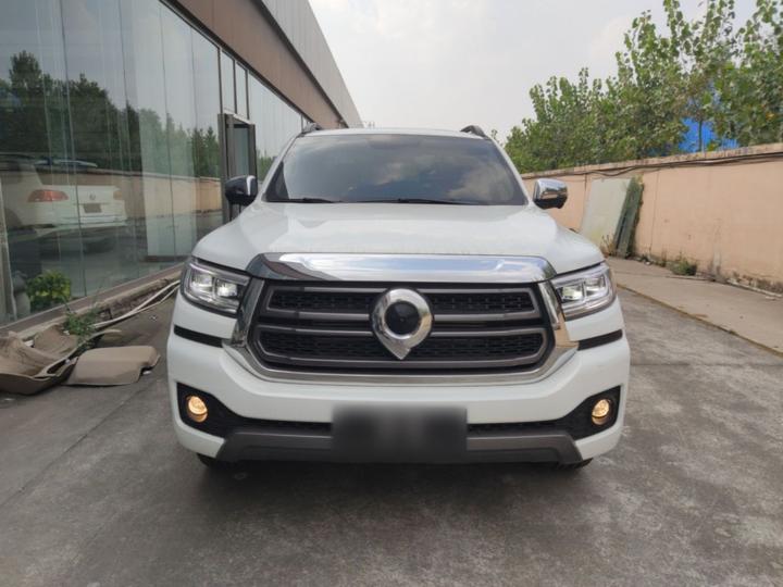 2023 2.0T AT Petrol AWD Sport GW4C20B photo 2