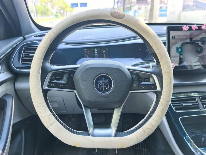 Qin PLUS 2021 DM-i 55KM Flagship photo 3