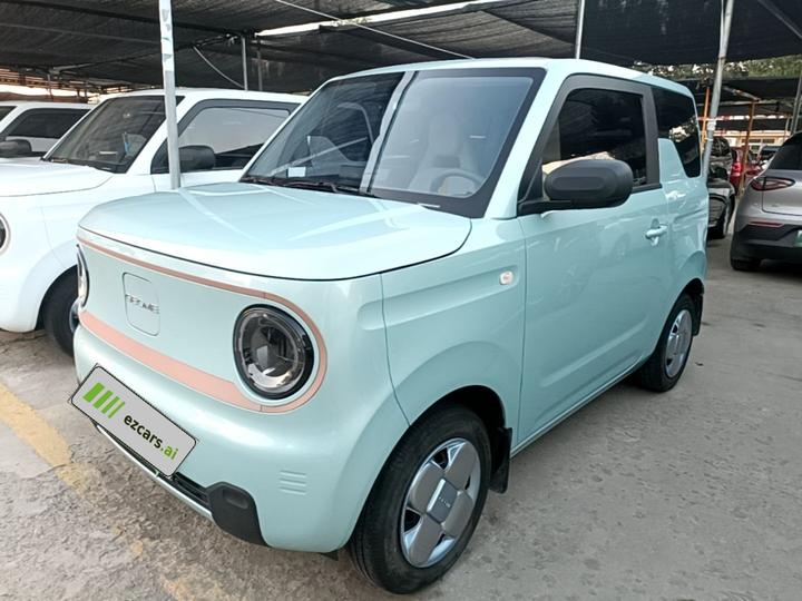 2024 Panda mini 200km Endurance Bear
