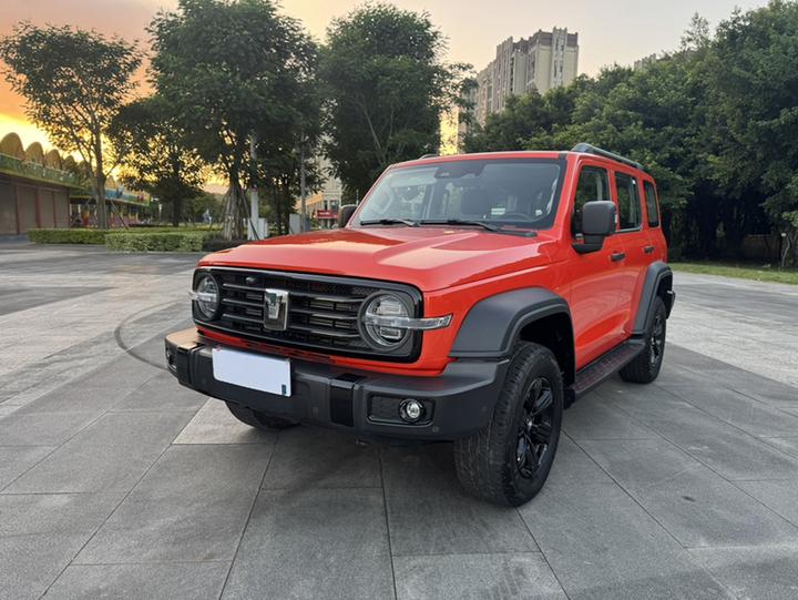300 2025 2.0T Petrol Conqueror
