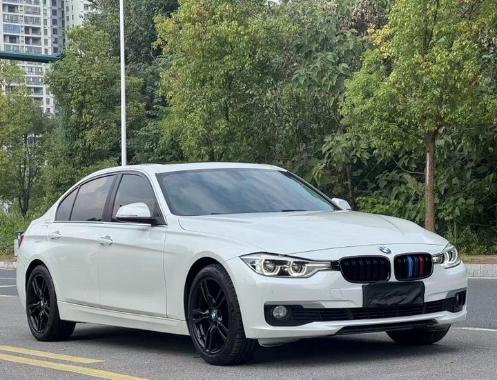 3 Series 2019 320Li Fashion photo 3