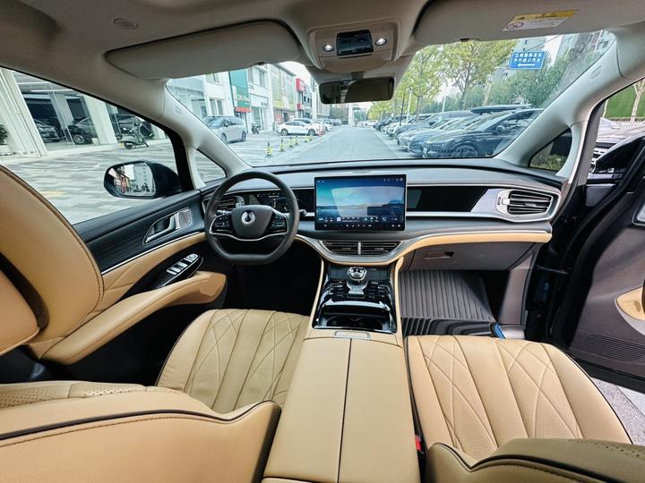 D9 2024 DM-i 980 AWD Noble photo 5