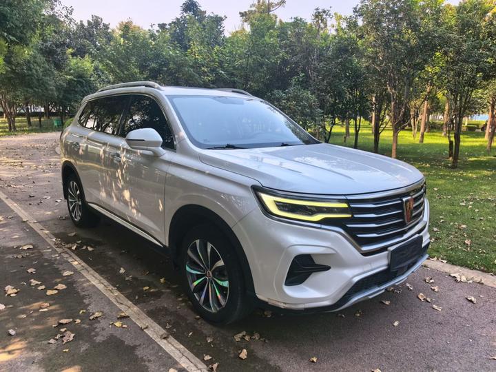 RX5 MAX 2019 300TGI AT 4G Luxury photo 4