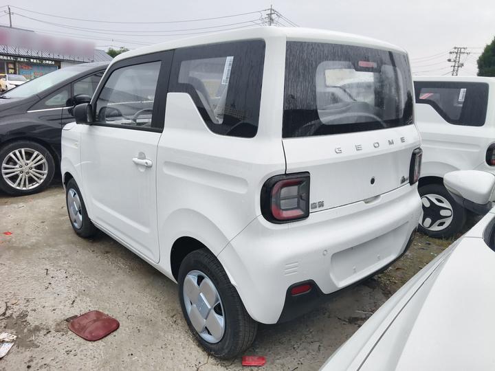 2024 Panda mini 200km Endurance Bear photo 5