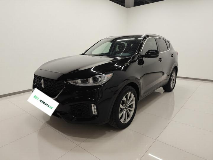VV6 2018 2.0T RWD Flagship China V