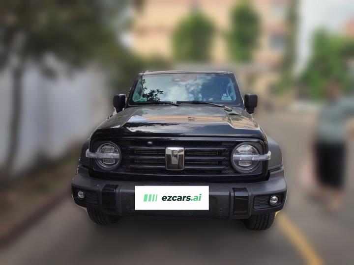 300 2025 2.0T Petrol photo 2