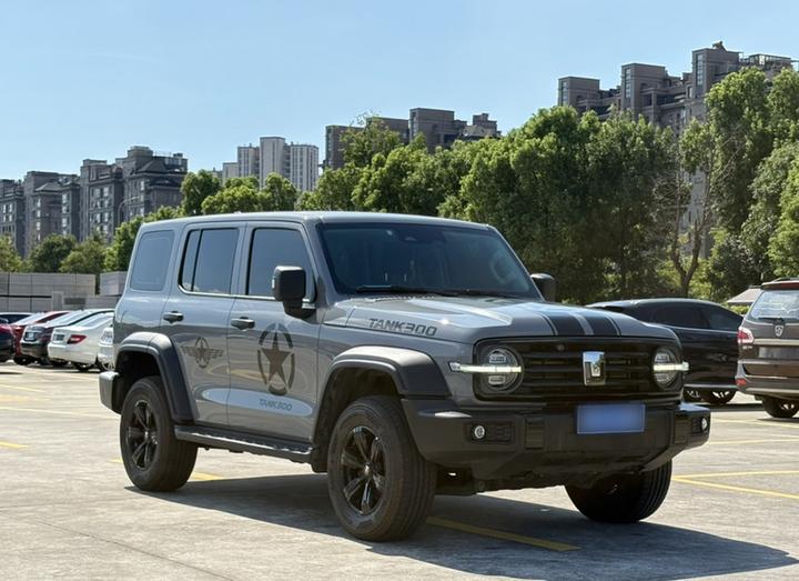 300 2023 Off-road 2.0T photo 4
