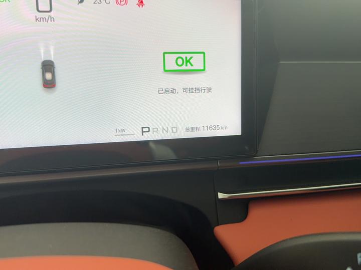 Tang L 2025 DM 175KM photo 8