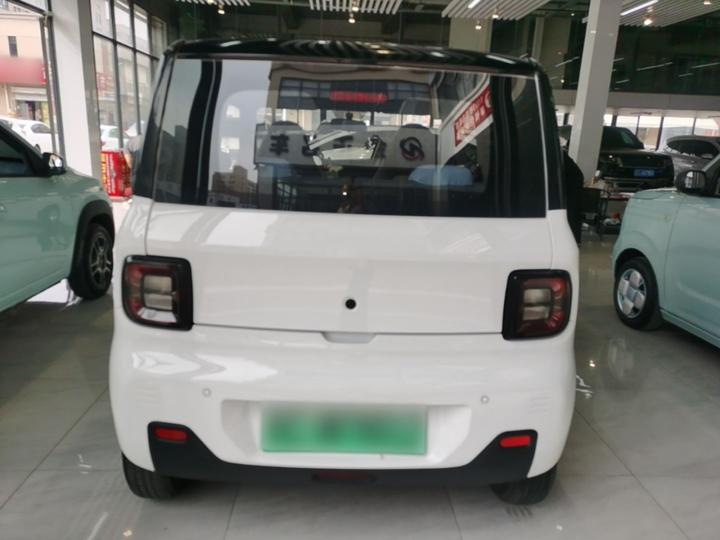 2023 Panda mini 200km Endurance Bear photo 5