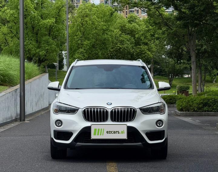 X1 2018 sDrive20Li Leading photo 4