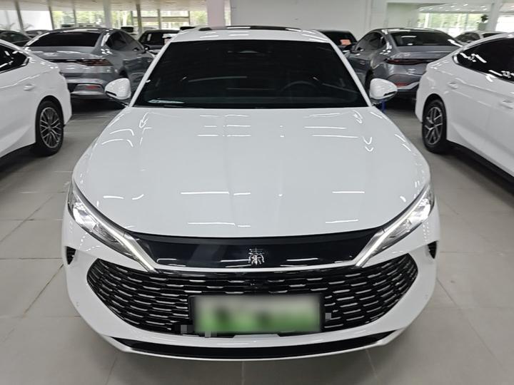 Qin L 2024 DM-i 120KM Excellence photo 2