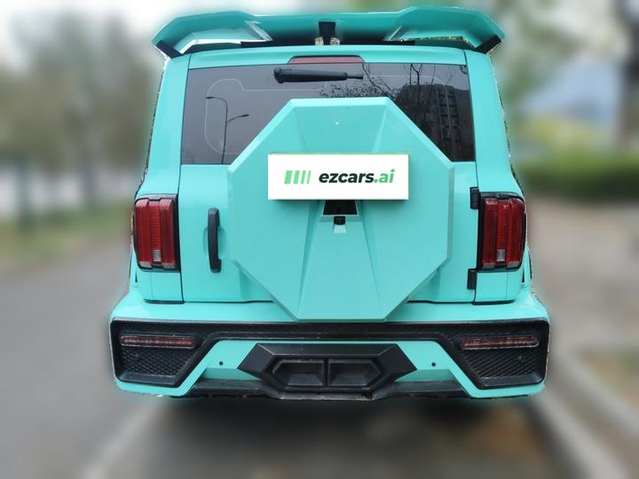 300 2021 Off-road 2.0T Conqueror photo 5