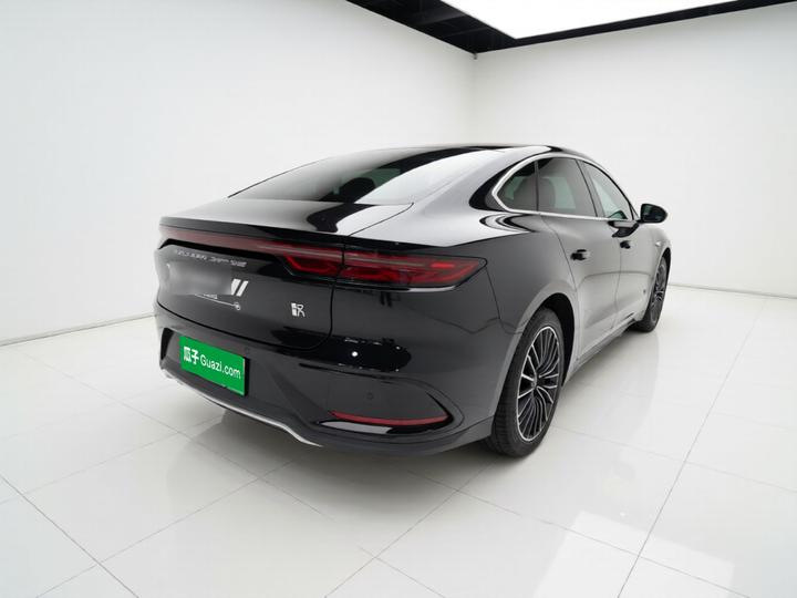 Han 2024 DM-i Honor 121KM Exclusive photo 4