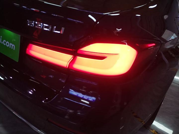 5 Series 2021 530Li Leading Luxury photo 7