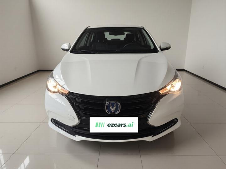 Alsvin 2019 1.5L DCT photo 2