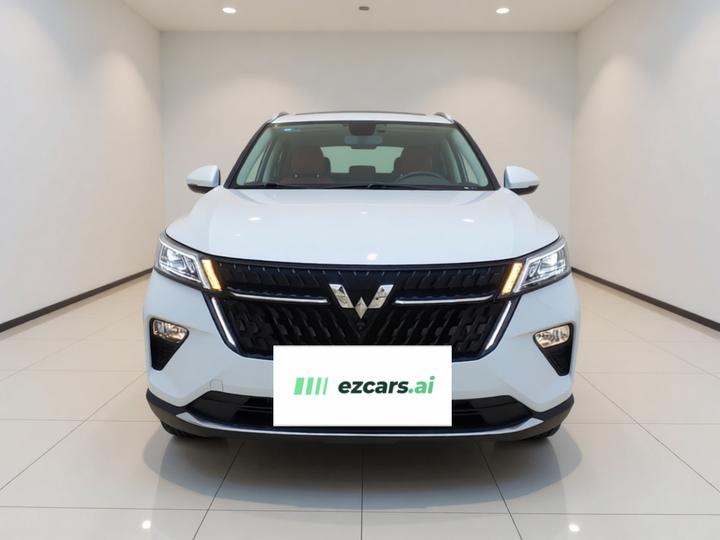 Wuling 2022 2.0L DHT photo 2