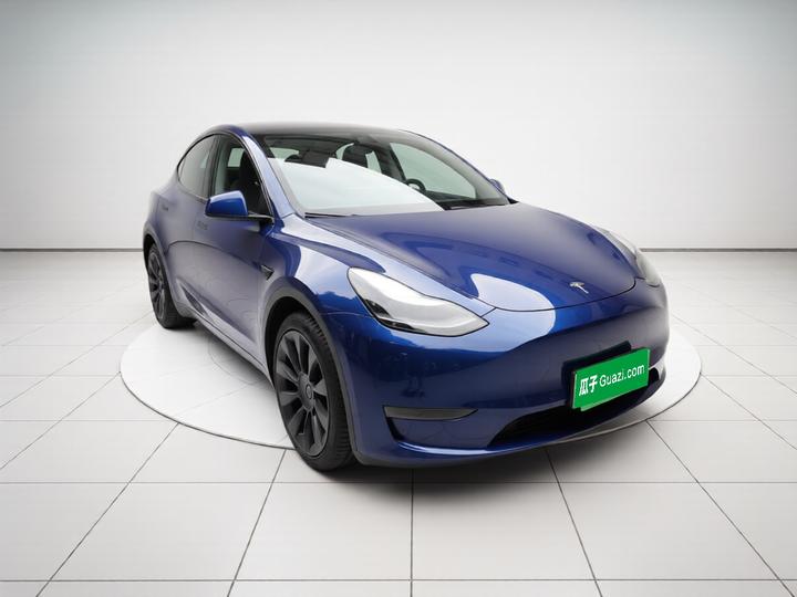 Model Y 2021 Long Range AWD photo 3