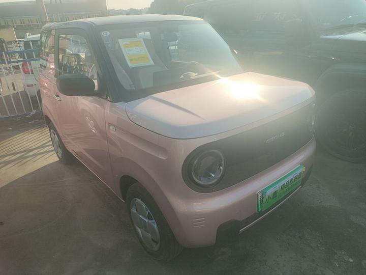 2024 Panda mini 200km Endurance Bear photo 4