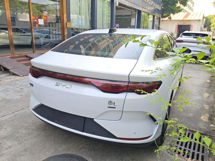 Qin L 2025 EV 545KM photo 4