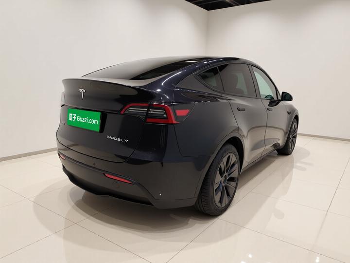 Model Y 2023 Long Range AWD photo 6