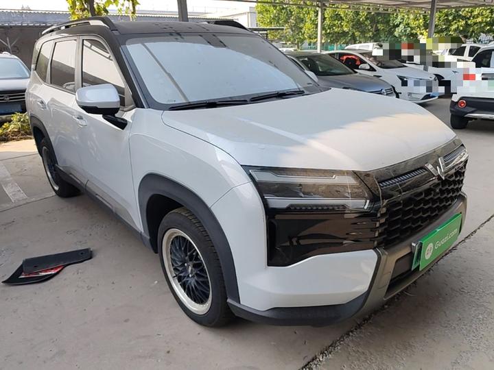 560 EV 2026 125km Luxury photo 3