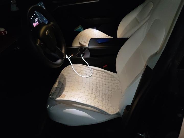 Model 3 2022 RWD photo 7
