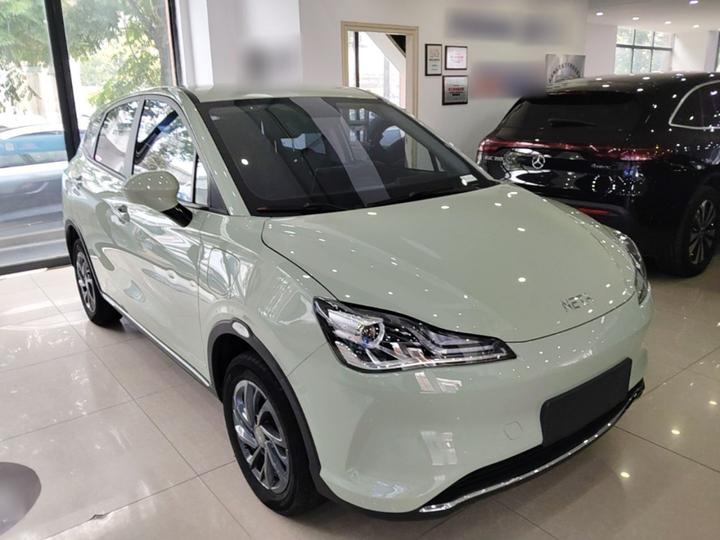 Neta V 2022 300 Lite LFP photo 3