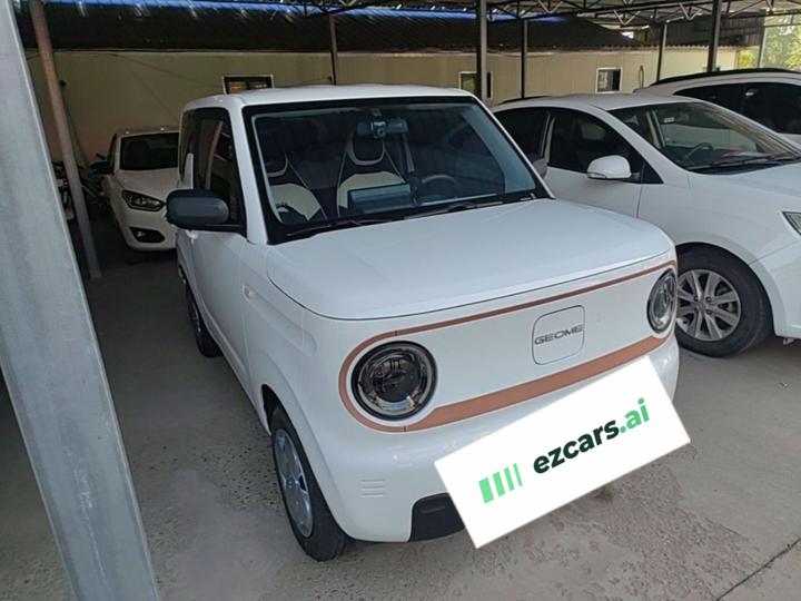 2024 Panda mini 200km Endurance Bear photo 3